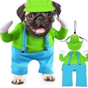 Luigi Dog Halloween Costume-small